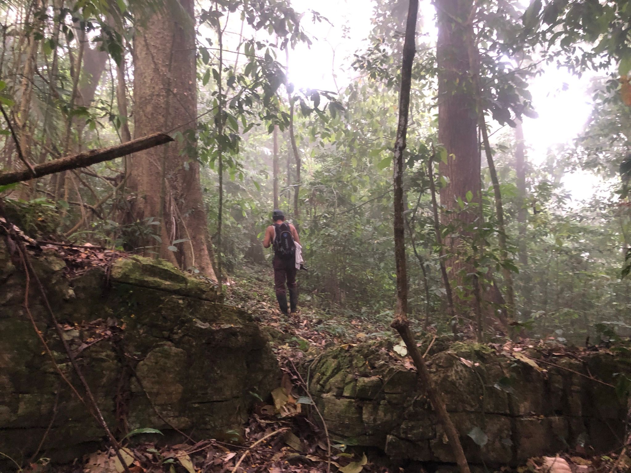 Camino de terracería de San Manuel a Babilonia — cómo llegar a La Ventana Palenque