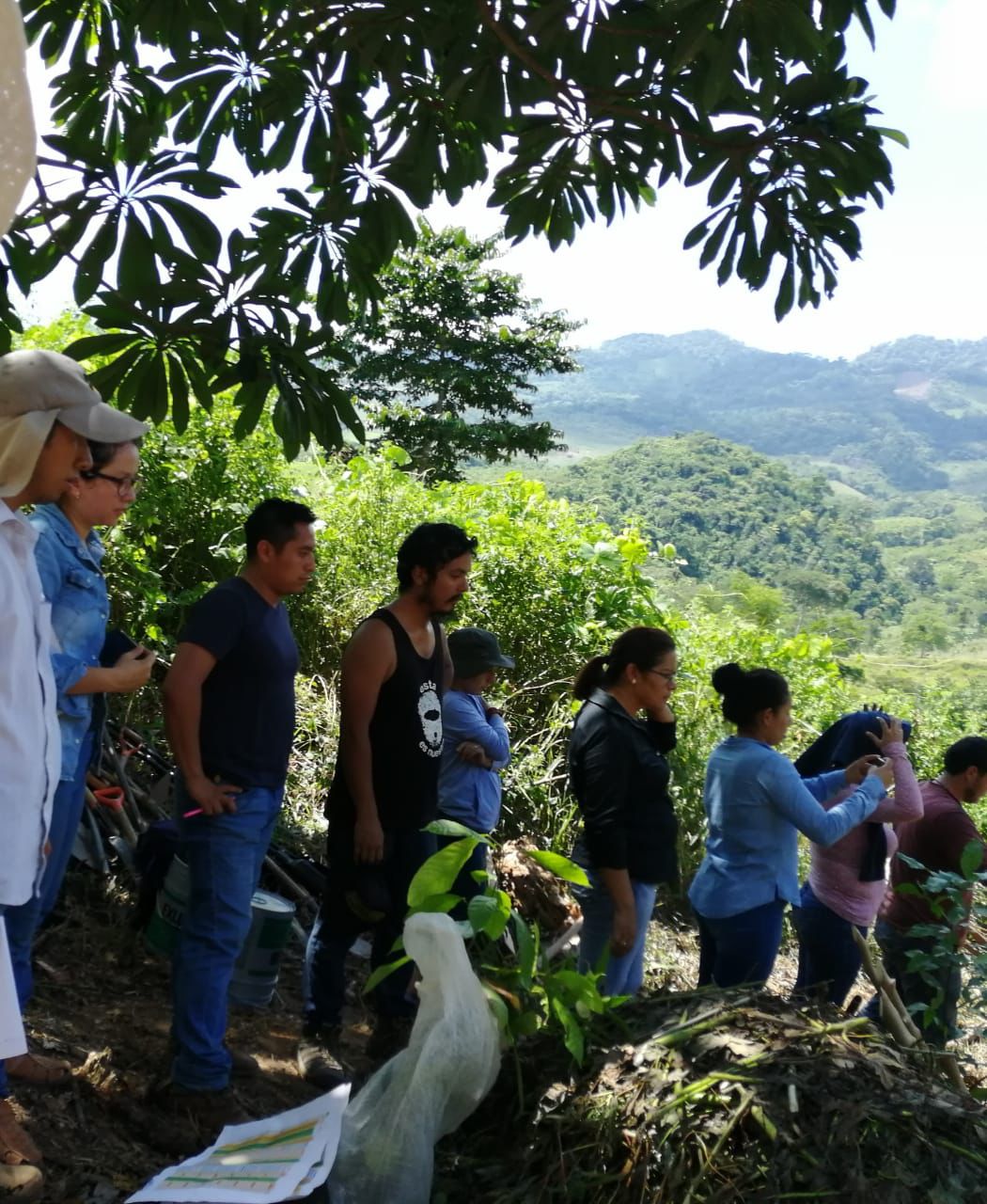 Talleres de agroforestería y bioconstrucción — La Ventana Palenque