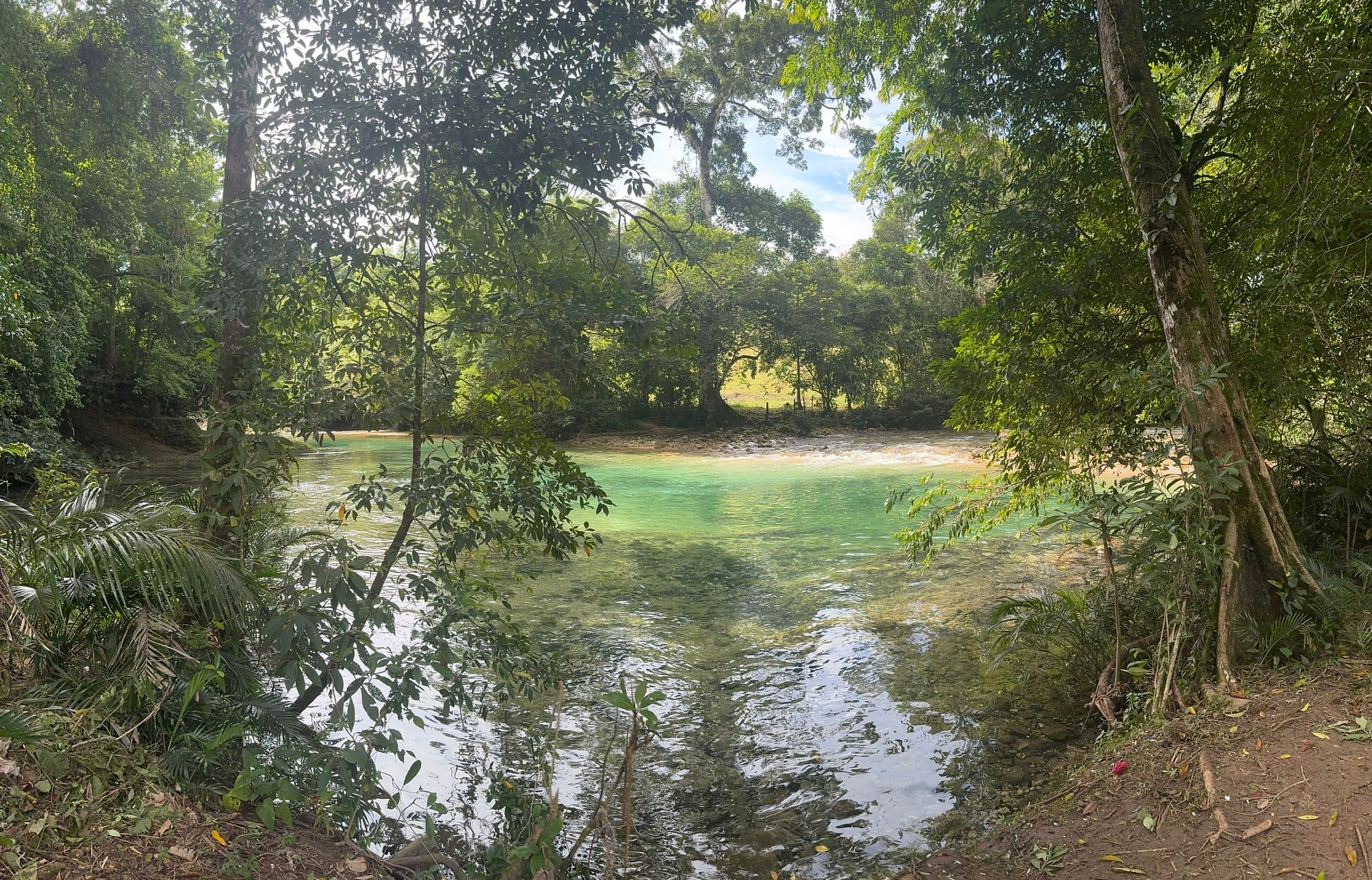 Poza natural del Río Chacamax para nadar — Palenque, Chiapas