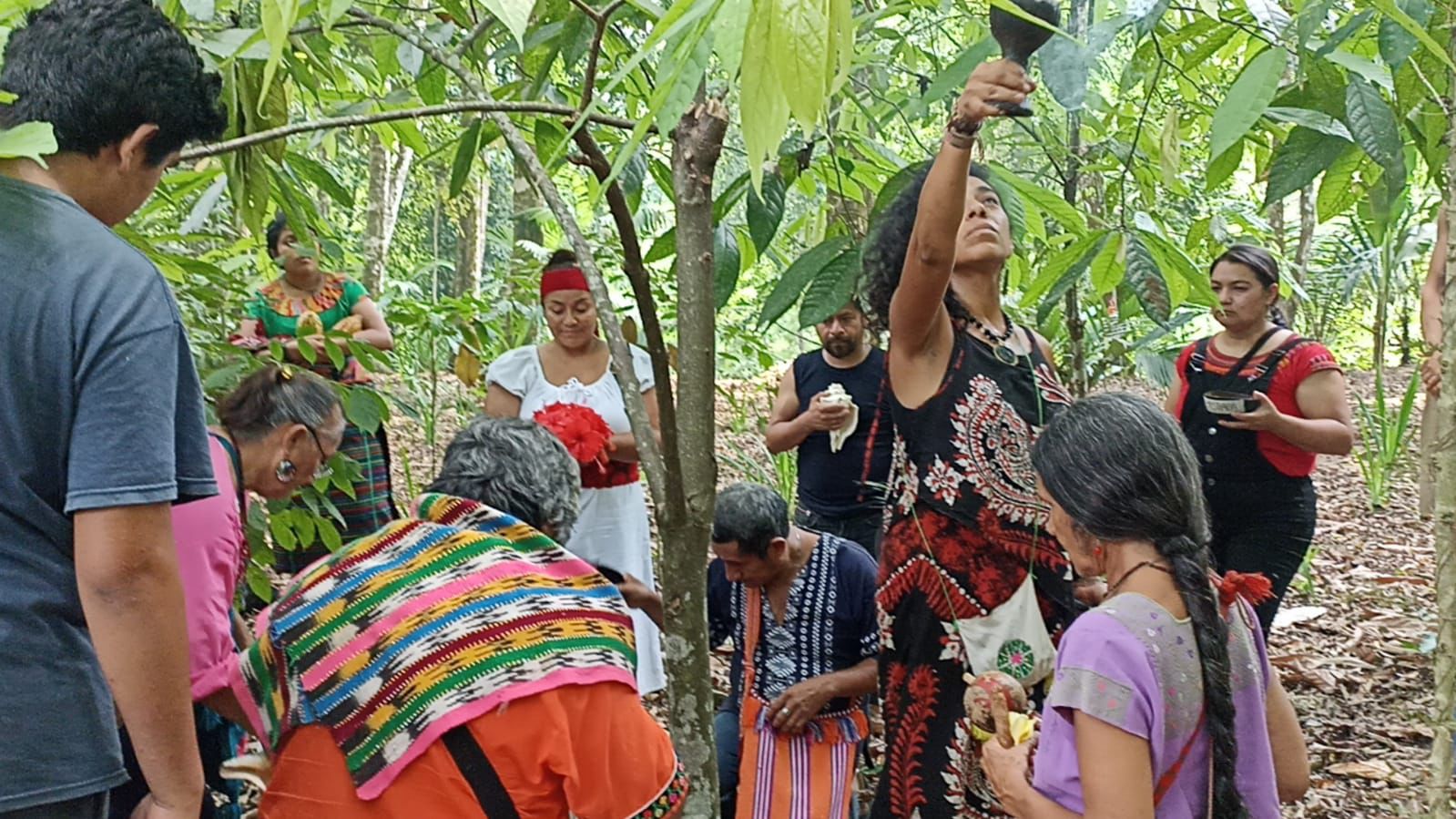 Comunidad de La Ventana Palenque — encuentros, ceremonias y vida del territorio