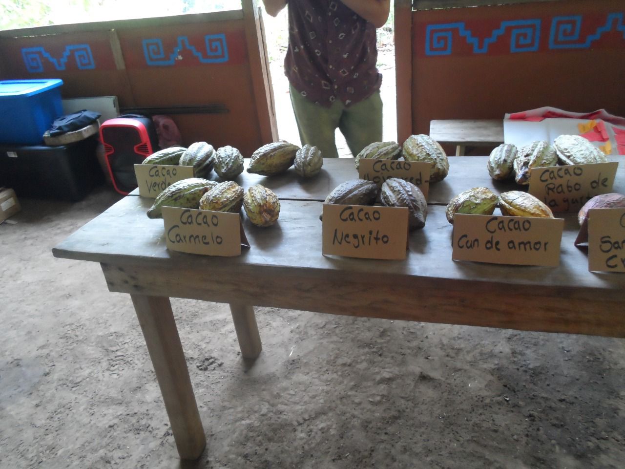 Tienda de la Selva — miel, cacao y productos artesanales de La Ventana Palenque